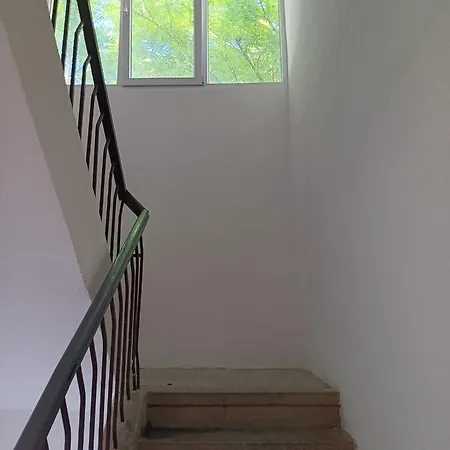 Apartman Sonja *